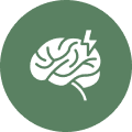 ANZ Concussion Guidelines